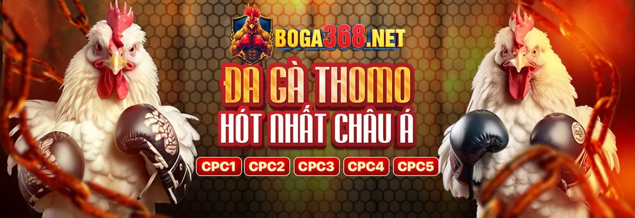 Hình ảnh chính ưu đãi Kubet79 Code